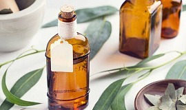 Korzyści olejku eukaliptusowego dla domu i zdrowia